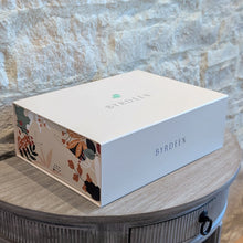 Load image into Gallery viewer, Autumn Coupe Glass