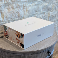 Load image into Gallery viewer, Amber Balloon Glass - Set of 4