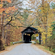 Load image into Gallery viewer, Autumn Wine Glass - Set of 4