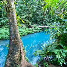 Load image into Gallery viewer, Rio Coupe Glass - Set of 4